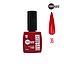 Punto Nails - Overgel 3 Pasos 36 12 ML